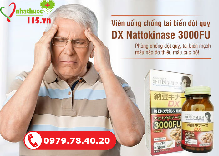 Giới thiệu nattokinase DX